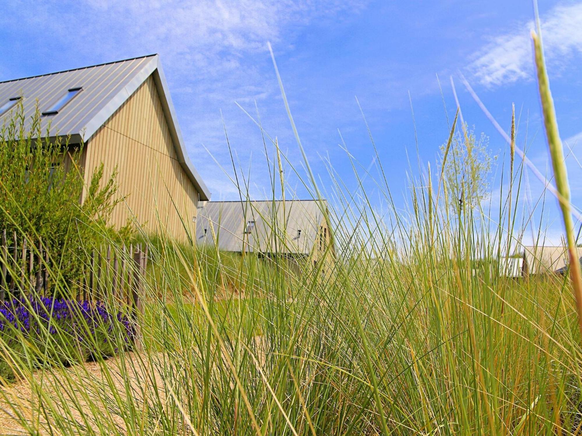 Modern Lodge On The Water In A National Park Tholen Exterior photo